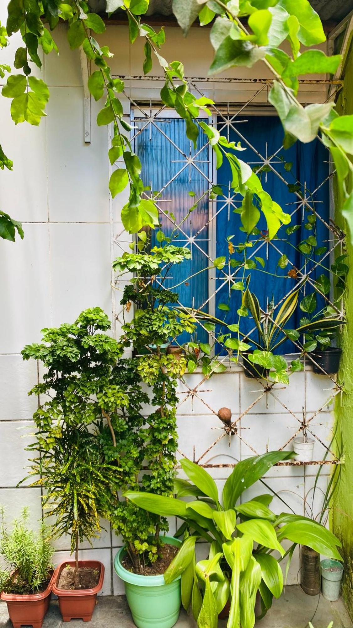 Hostel Familiar Σαλβαντόρ Εξωτερικό φωτογραφία